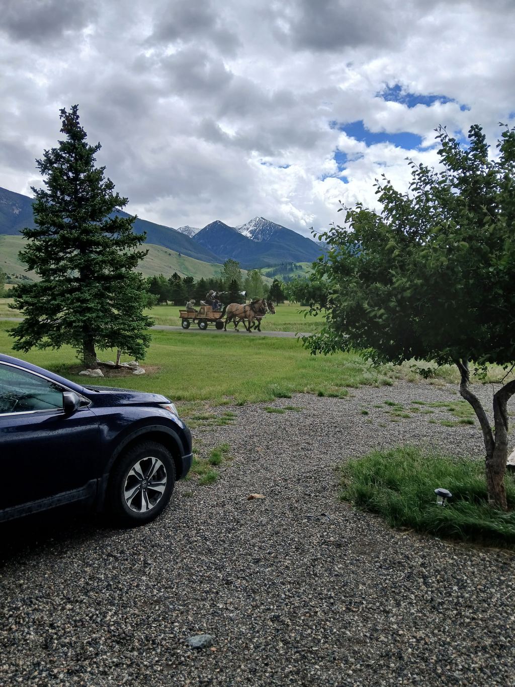 A horse-drawn wagon crossing a green field beneath Montana mountains.