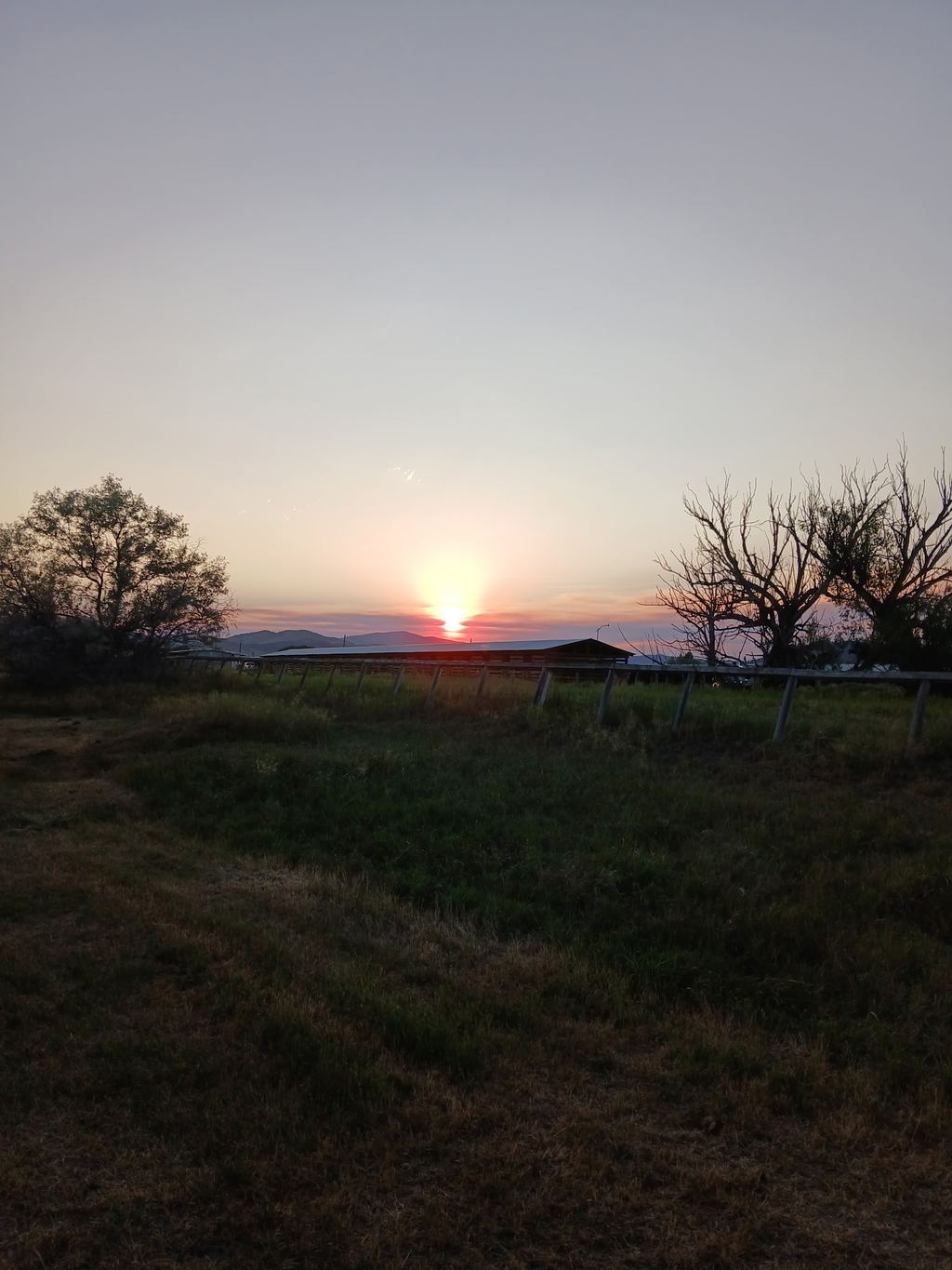 A Montana ranch landscape in evening light.