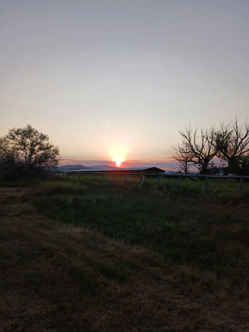 A Montana ranch landscape in evening light.